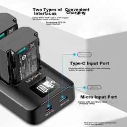 Pisen FZ100 Dual Slot Smart Charger